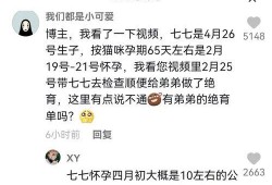 娱乐吃瓜博主有哪些名字,那些热衷于吃瓜的博主名字大盘点