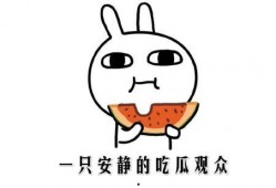 娱乐吃瓜名字怎么取的呀