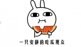 娱乐吃瓜名字怎么取的呀