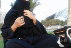 娱乐吃瓜君 网红是谁呀