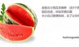 娱乐吃瓜的封面怎么做,从吃瓜封面看幕后故事